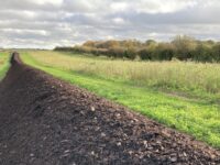 Composting for Farms: A Practical Guide to Better Soil and Less Waste