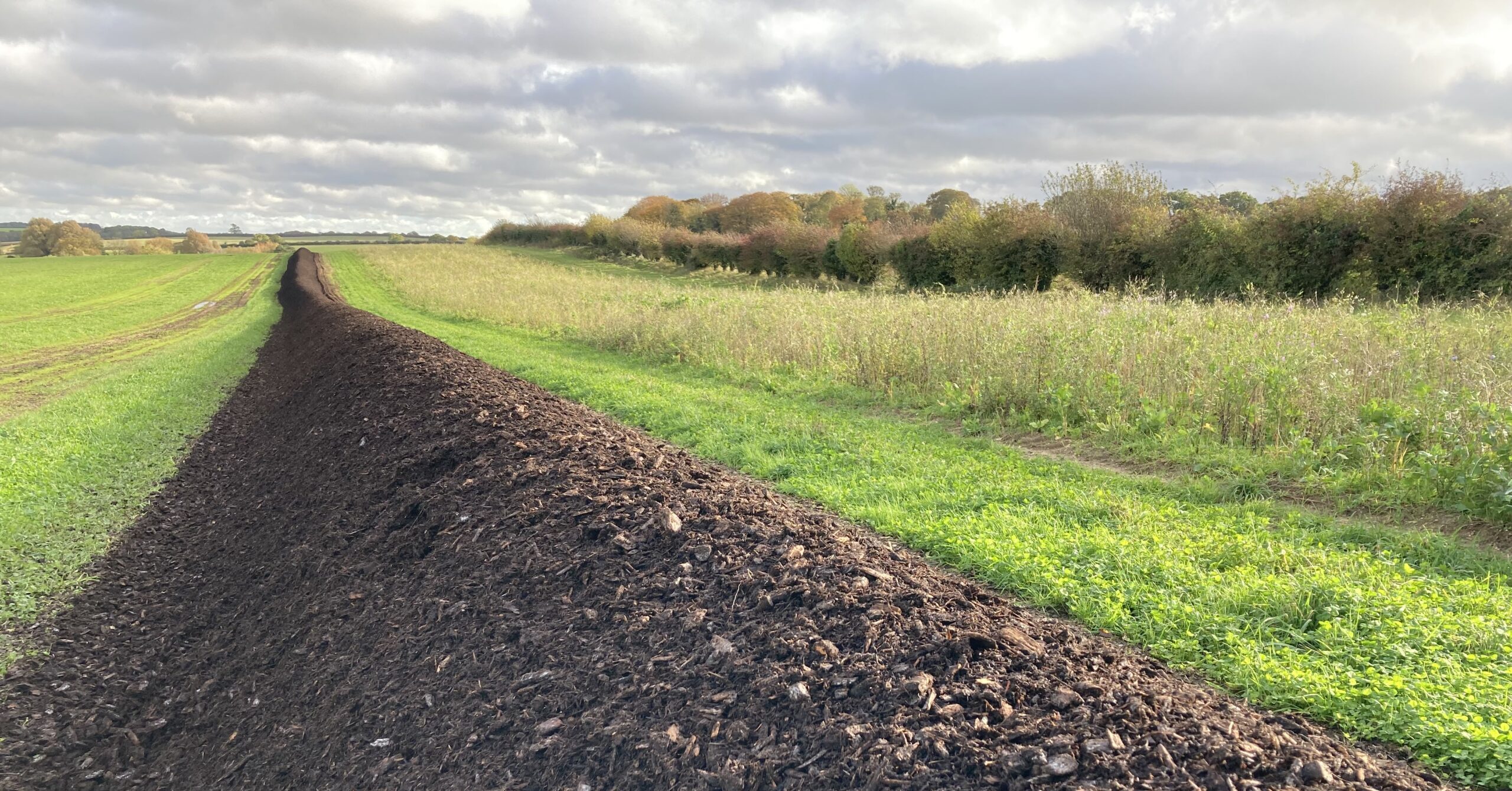 Composting for Farms: A Practical Guide to Better Soil and Less Waste