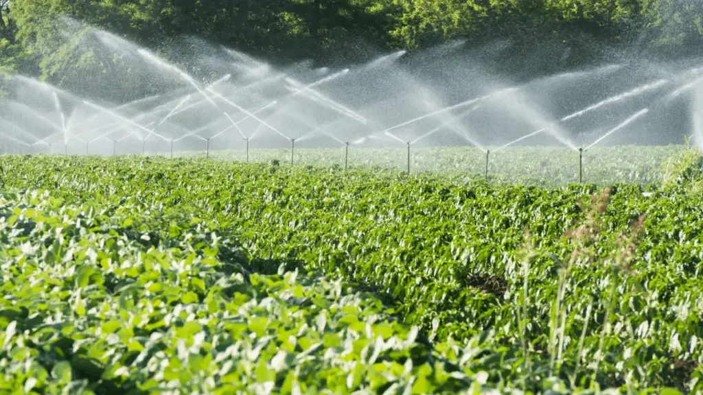 Irrigation Systems for Small Farms