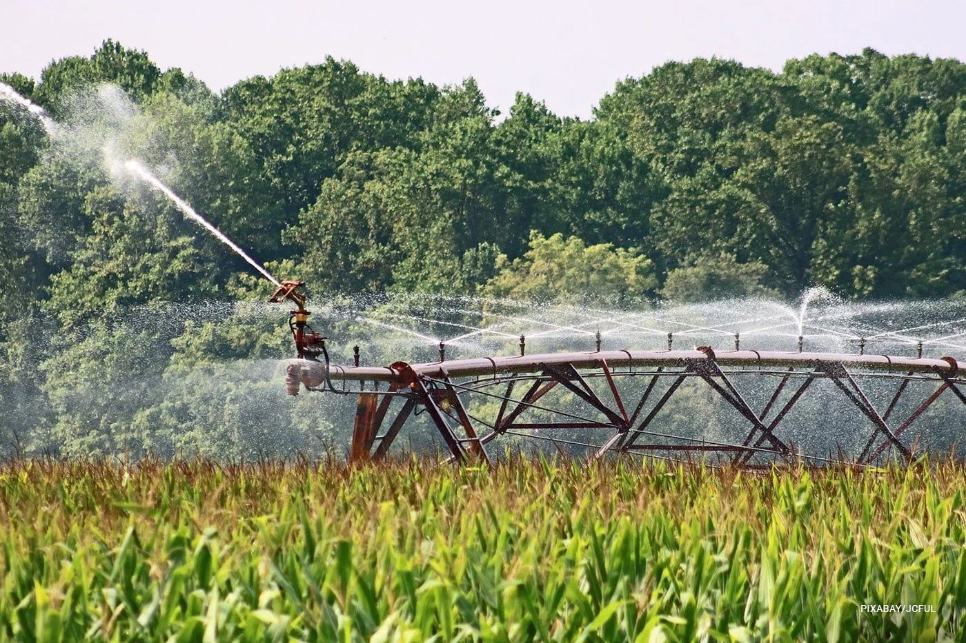 Main Types of Irrigation Systems for Small Farms