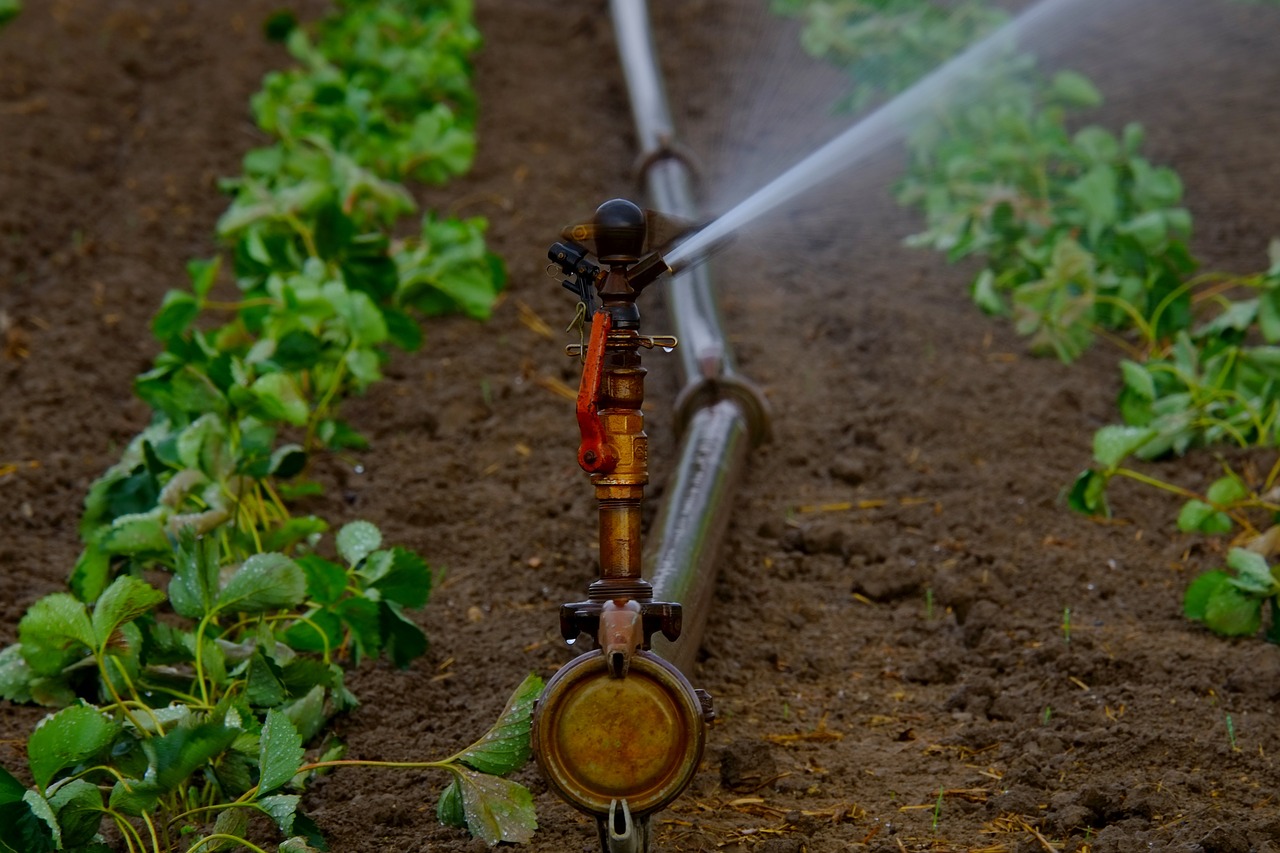 Why Irrigation Should Be Part of the Whole Farm System