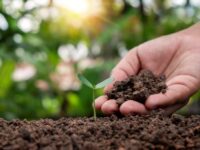 Soil Health Farming