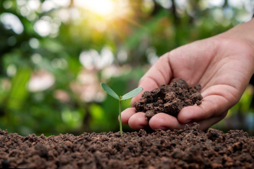 Soil Health Farming